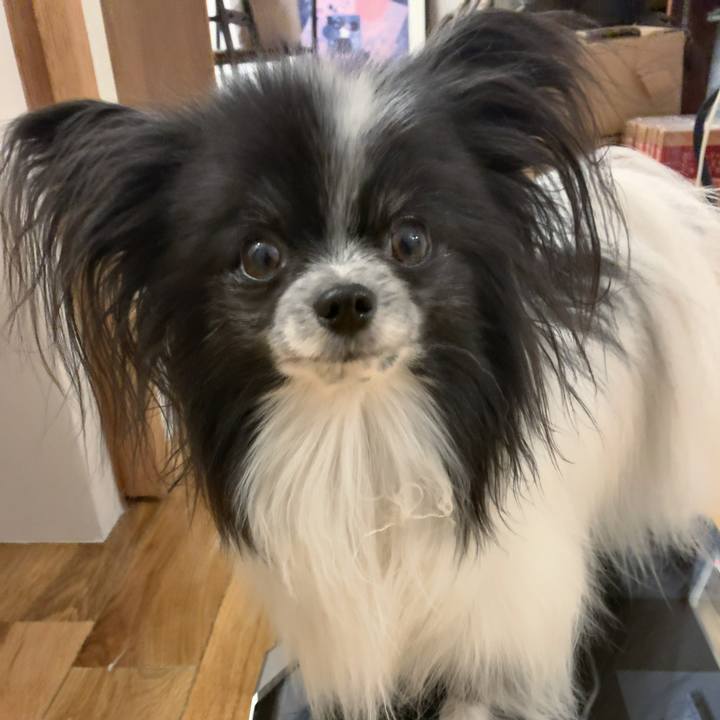 728dea3d 2224 4f3e 9057 b953abcd385b 1579468359898