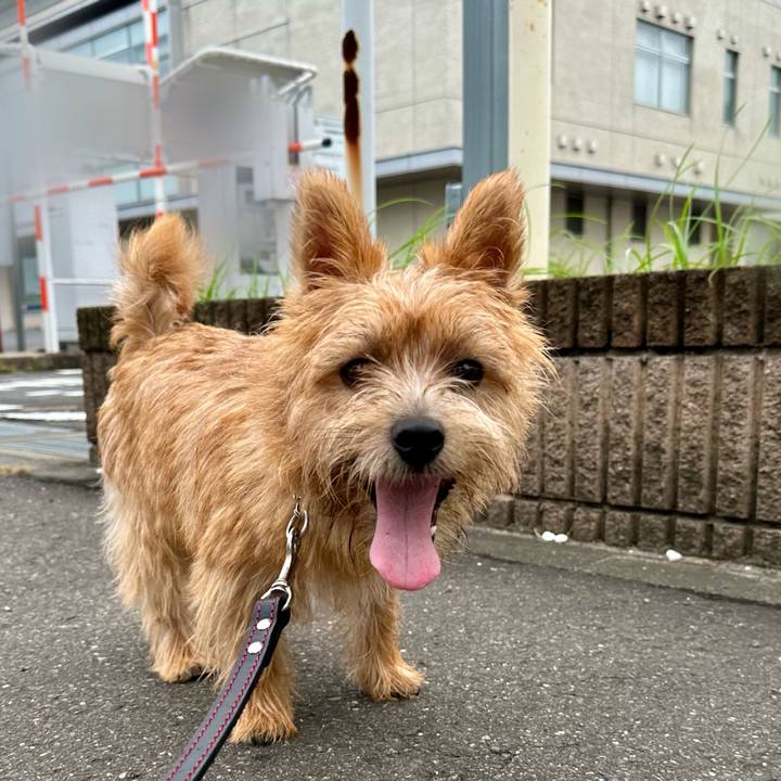 728dee6c 1d1b 4b92 aebd 5029bde03f58 1724292175683