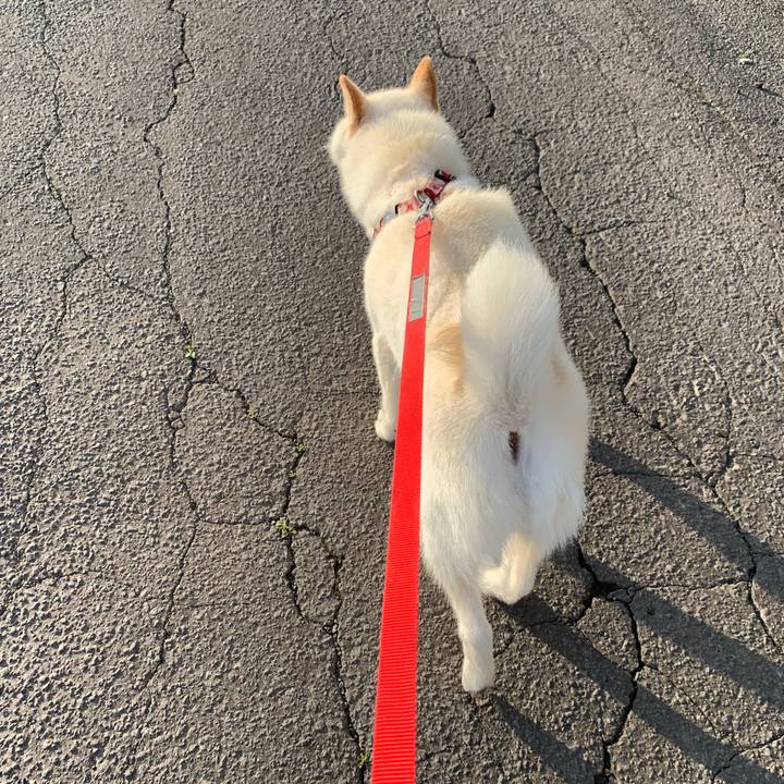 728e166c 3f10 472e 84ec 47a6abdb2f7e 1561842712712