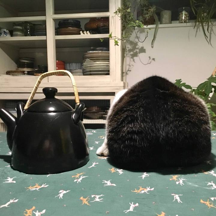 728e1c5f c0c0 4de1 9d7b 059693d07283 1591361171017