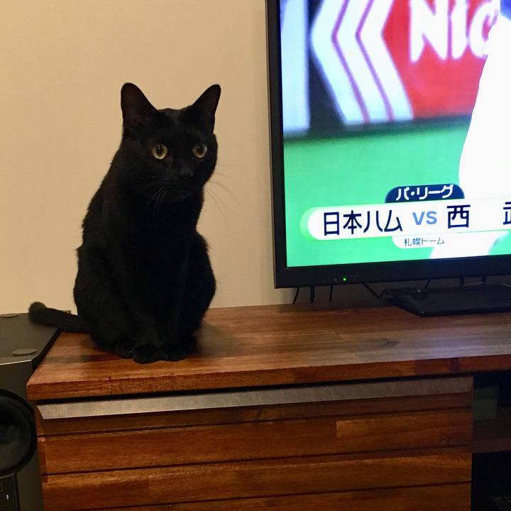 728e4e42 19df 409d 8832 c7d364eb3ff5 1538578150972