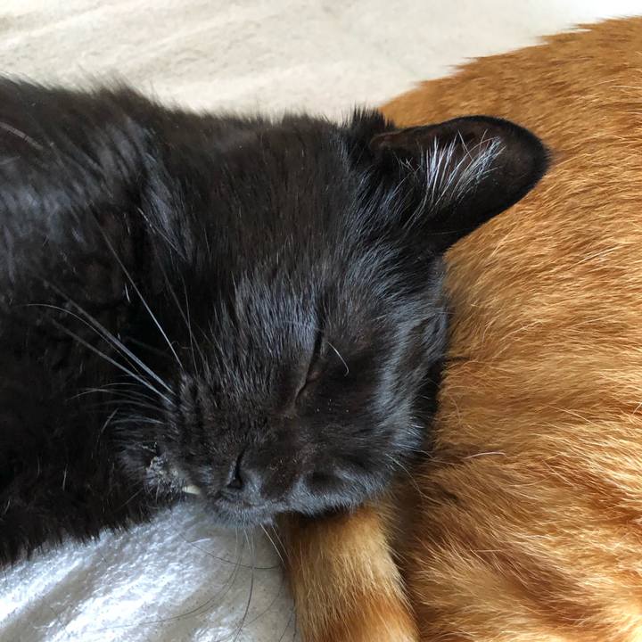 728e7089 9198 4d07 8e5f 20962fd9fd9f 1621063468129