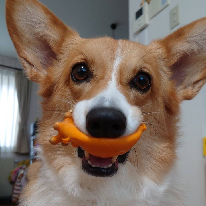 728ed0d6 841a 438e 8513 df60bbdacb03 1762058937243