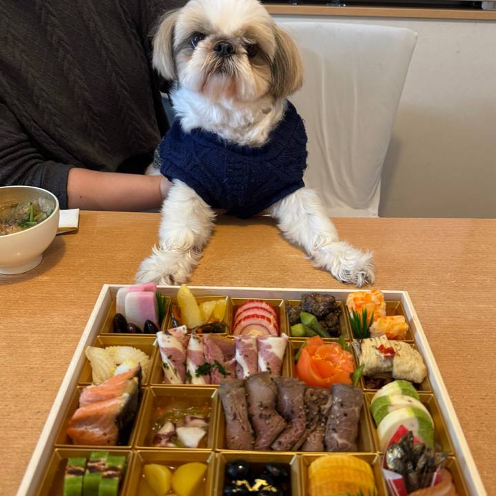 728ed35f 5c6c 4420 8f6b 07b40b5e7582 1767266769641