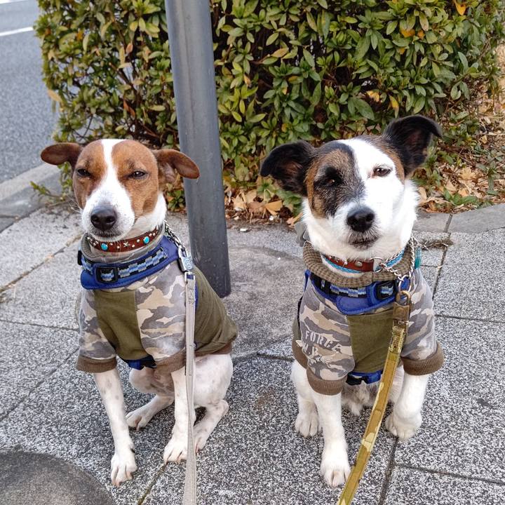 728ee663 3e95 4255 a5a1 410e2a73bbf0 1643327119990