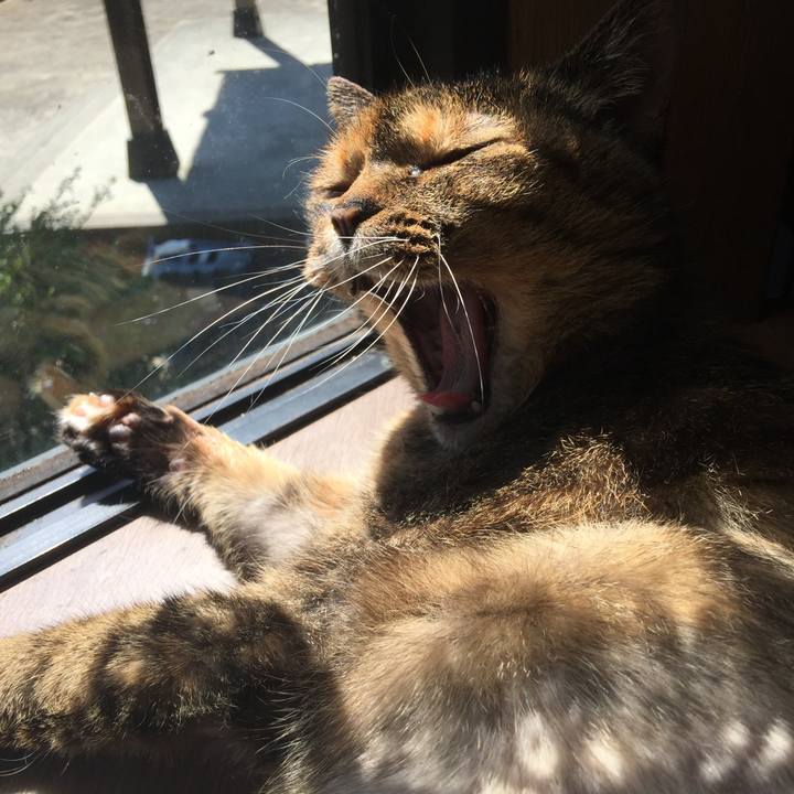 728f1acf 6785 4741 9e03 8753ca58862c 1560834172685