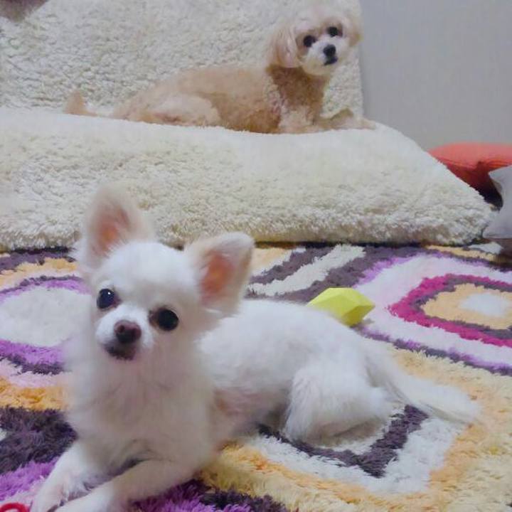 728f230a 29b0 45f0 8fb4 4ae7567b8a15 1565415957180