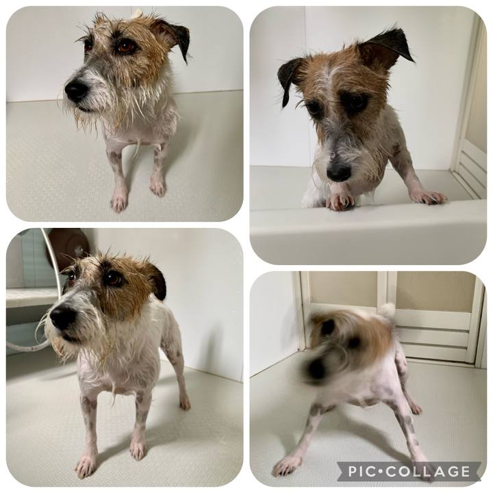 728f5f28 6b52 4120 82d9 f65b853c1ea4 1656828344170