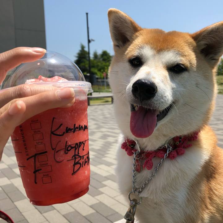 728f78c2 8195 46ed b118 e07c8bf0dbf7 1525499537231