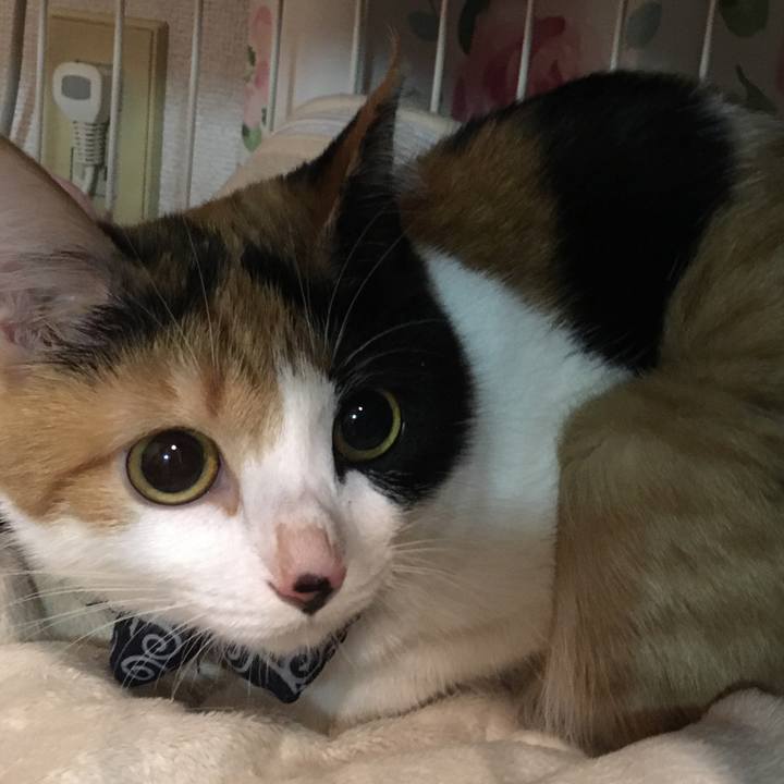 728f80fb 0be7 4671 b5f4 1a42c5c3415e 1572272672191