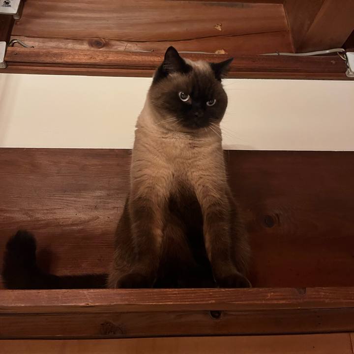 728f9aef 6ade 45c7 aac0 16d2e342bb61 1671195742127