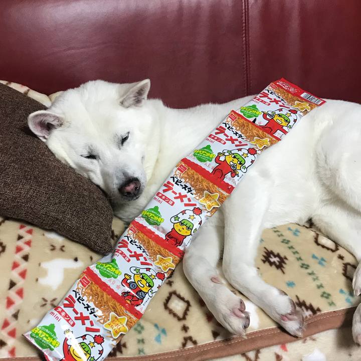 728fb40d 0841 4fcc 8690 617c96077425 1512903988552