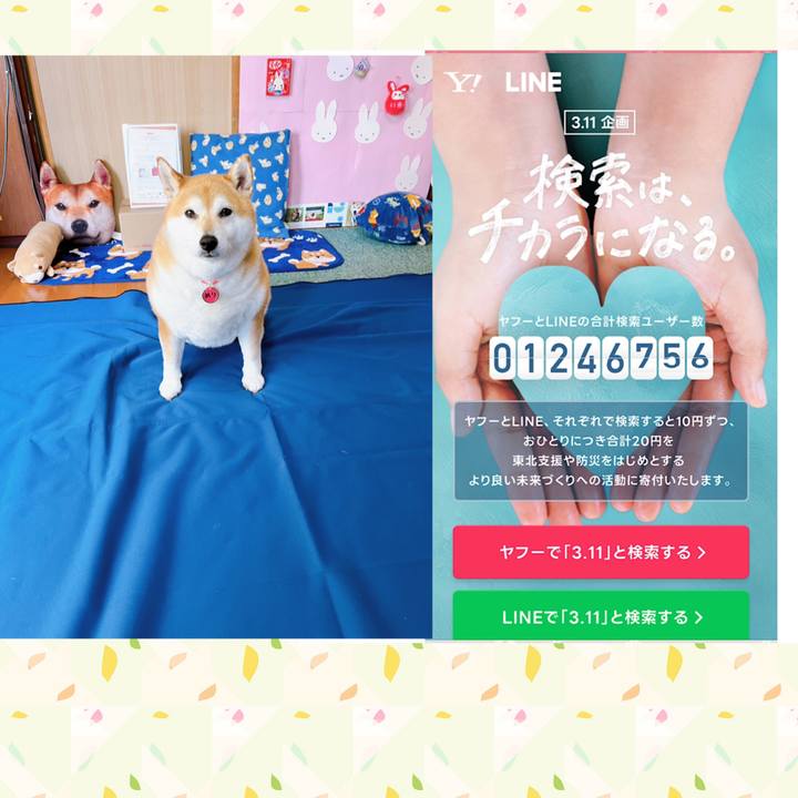 7290362b 07da 49e2 a6c5 fa1caeb5663c 1678483910845