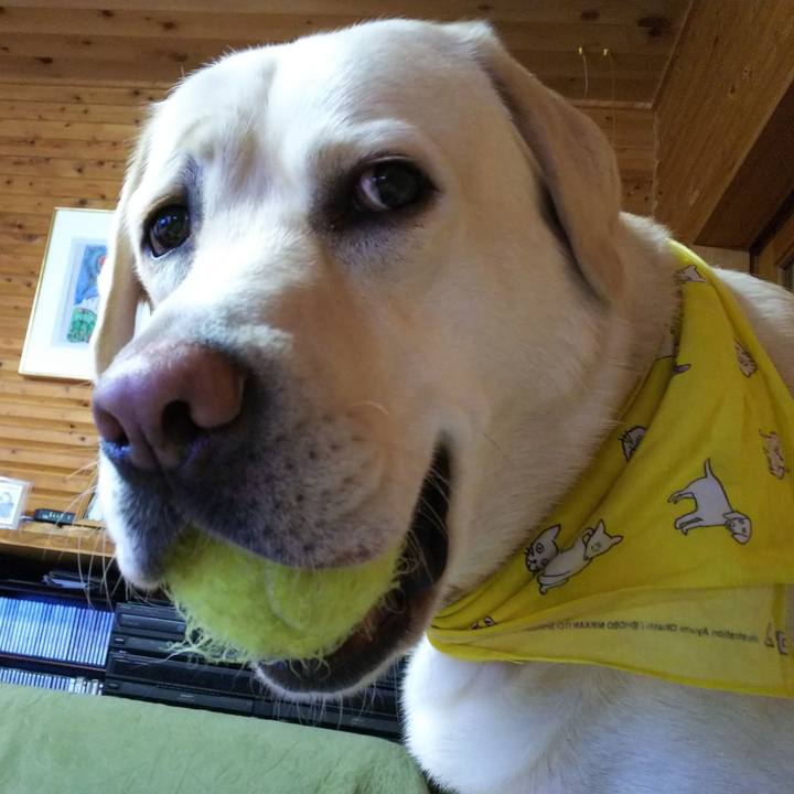 72906f4b 5449 45ee ac33 4f0342ed965c 1516154409573