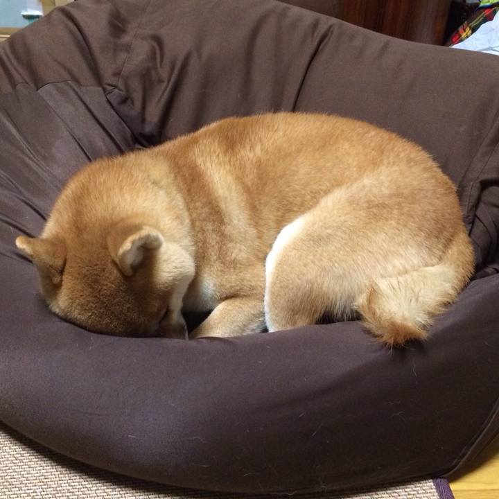 7290735d 9c5f 4a2a 8fa0 87236f4f8060 1508647231528