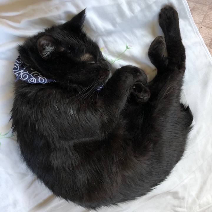 72909277 ecc9 4319 9783 d79c46d089e8 1559982199975