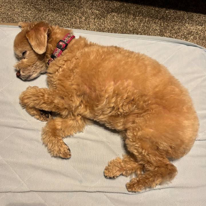 7290b708 c92d 4105 850a fdaf62c40d3b 1728374584651