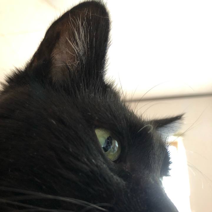 7290e114 7d76 4daa a8f1 c232651890a9 1628924312733