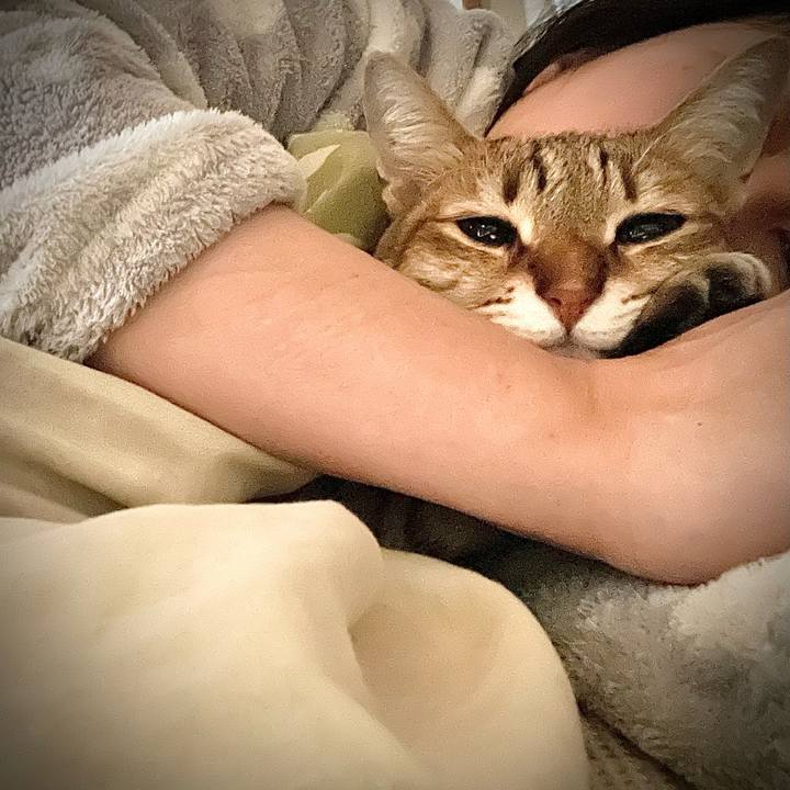 7290e459 00b5 4765 b83f aab61cb43d35 1710386387336