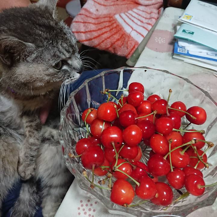 7290fd3c de56 4659 98a3 7e13d5802e0d 1593515553884