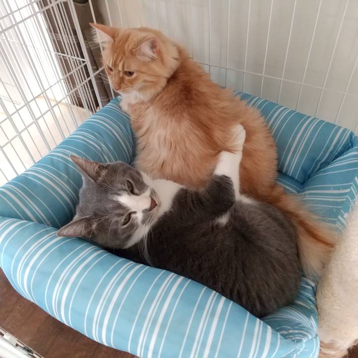 7291556c 700a 4971 a585 7627e252ed68 1642989159586