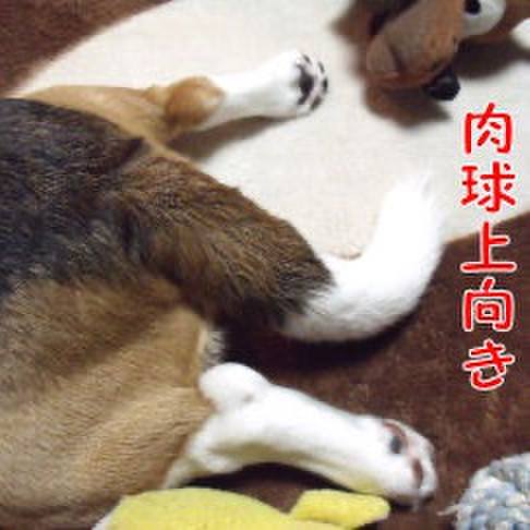 729189c7 9ae6 436b 8370 ddac473ffd29 1710632481213