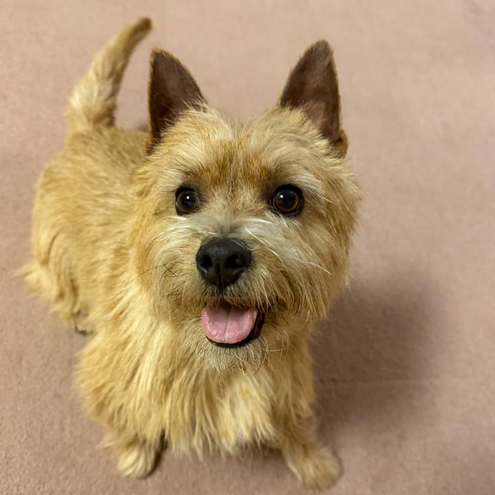 72919c67 41e1 432a 895e d07c3fbc6d46 1770559550286