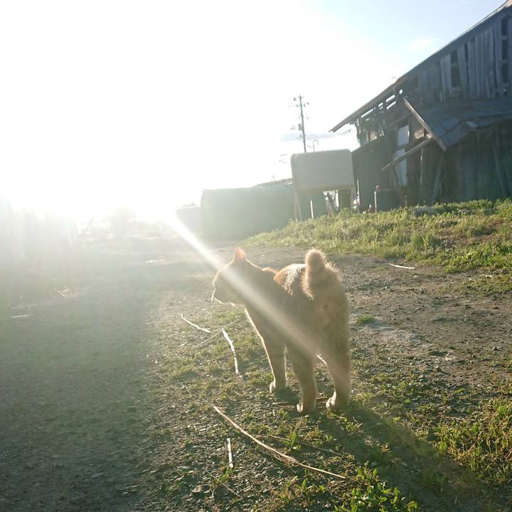 7291aa78 f0ab 4778 878a d85b58f5b5ba 1652219540343