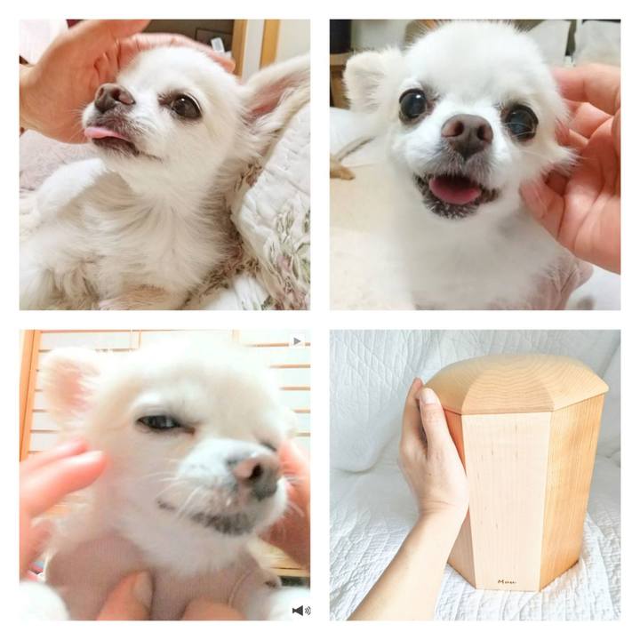 7291b275 c205 4f52 aeb1 7417951b32ba 1693127255887