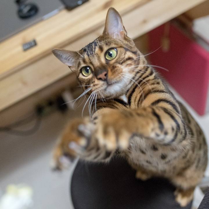 7291e778 4edb 4f3d 92d7 e24fdf0e8f6c 1518742205850