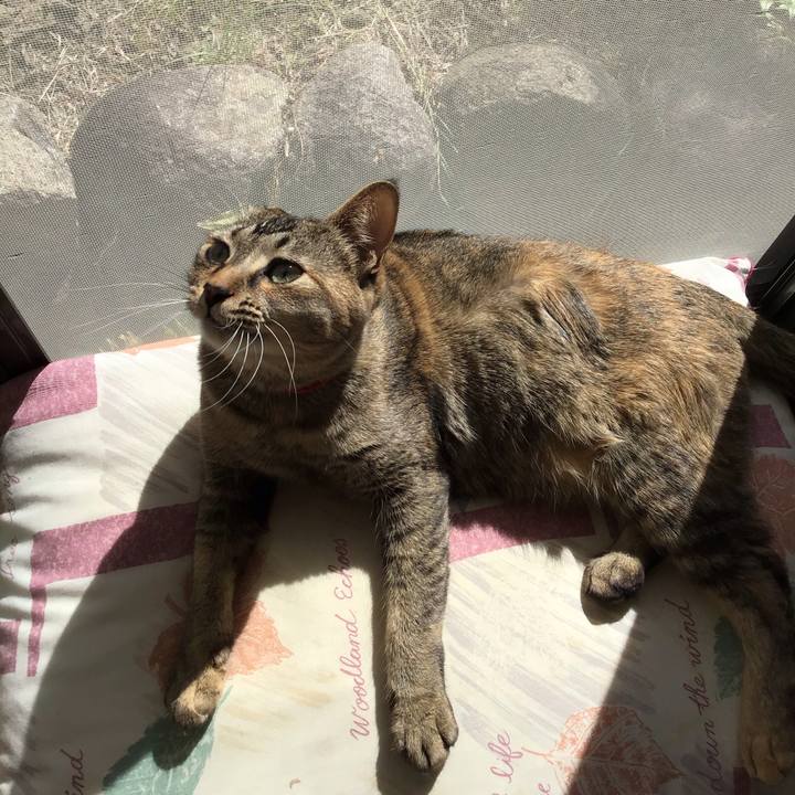 72921bdc 5a23 41f9 8929 bf55e952cf8b 1585096060985