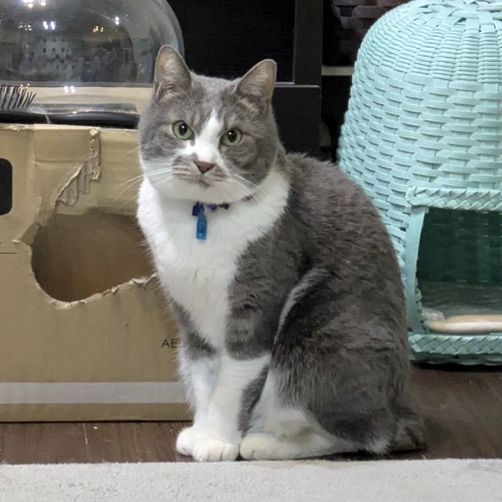 72924cc3 1c26 44e2 a693 6a9b8129161c 1773581064722