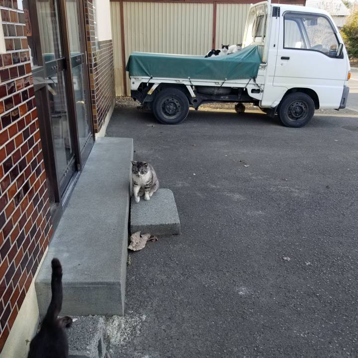 72925465 6060 478d 90be 18c04503cb92 1650535937136