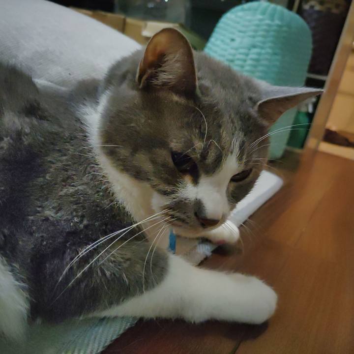 72926b65 05d3 4b18 9c4e 3b9f8ac81696 1708435637313