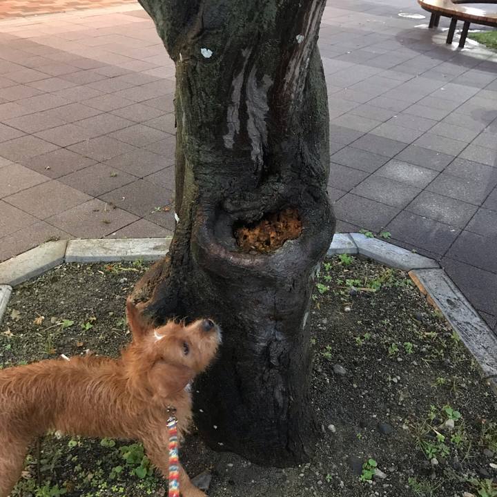 72927431 1366 4b6b 9429 2826299db89b 1539249359574