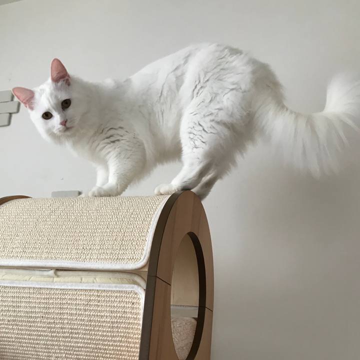 72927b7e 39fc 4ab8 be53 1a90170a0095 1529881703034