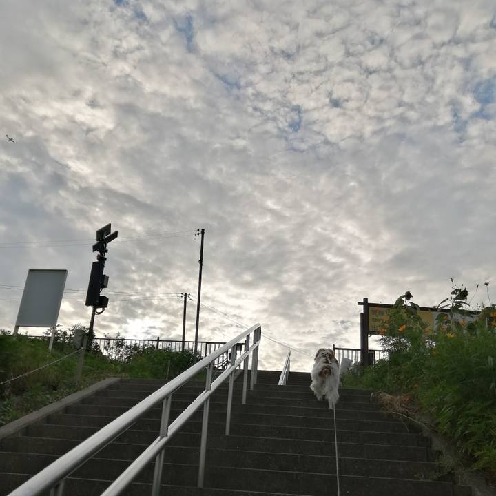 7292831d 3a4e 446c 872a 218fbab8c36d 1566386248116