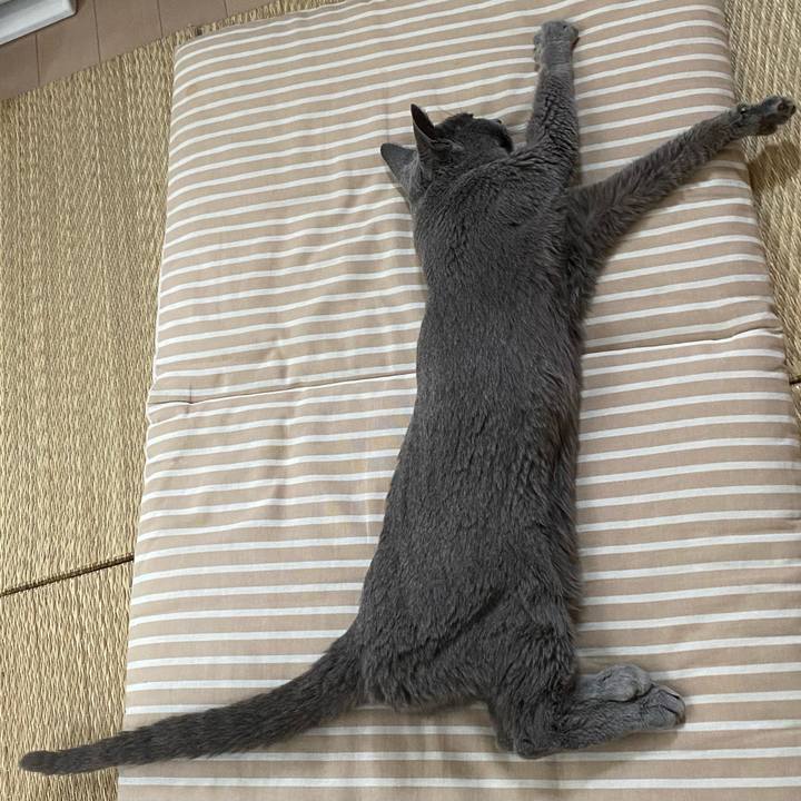 72928878 71dd 4d0e acc3 8d37d2b0ff76 1596587720884