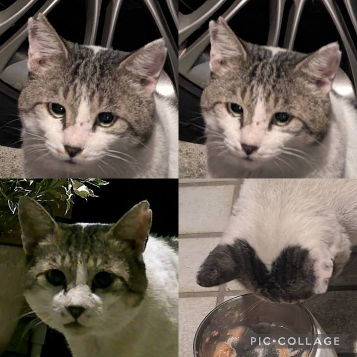 7292914b e61c 48ea baea 3472a799d27e 1760804568285