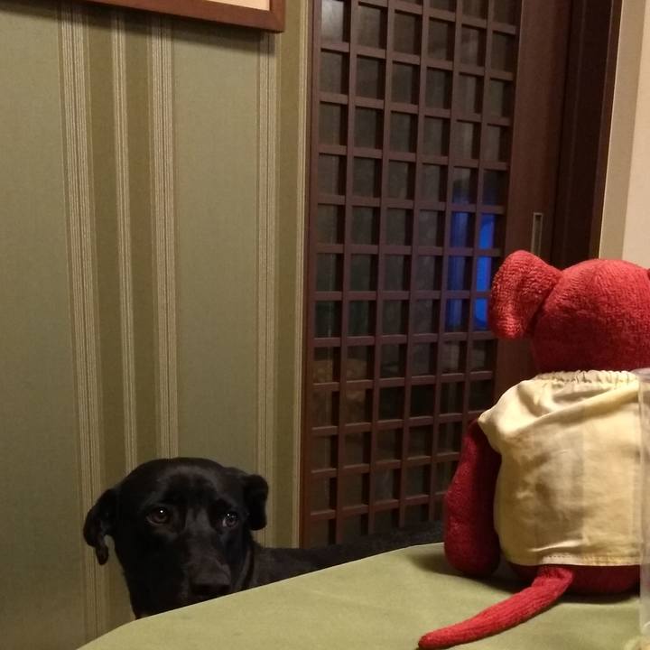 7292a447 4029 4d64 9d8e e19de545bbea 1594941952037