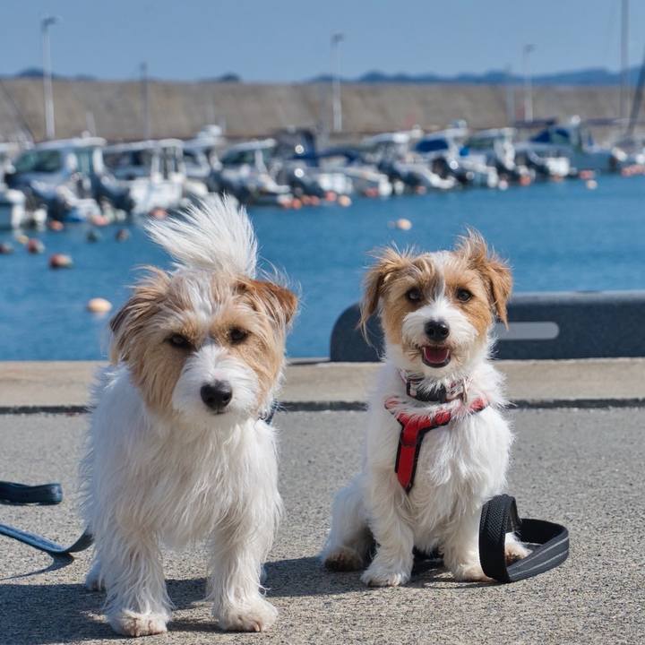 7292a50c 54d3 4703 9be6 0c0c444a1037 1771849292080