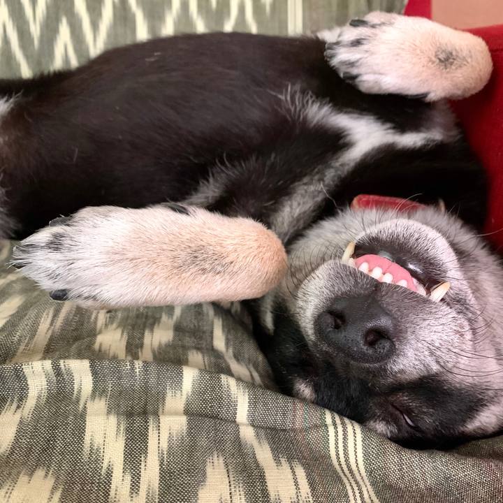 7292aa22 3730 4318 88d8 2465cfc909b4 1597559406537