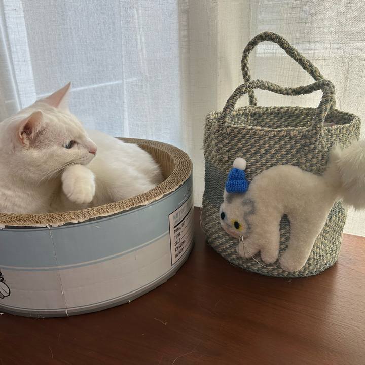 7292cb25 73a9 4382 a2ab ffbdf0a53172 1766127898127