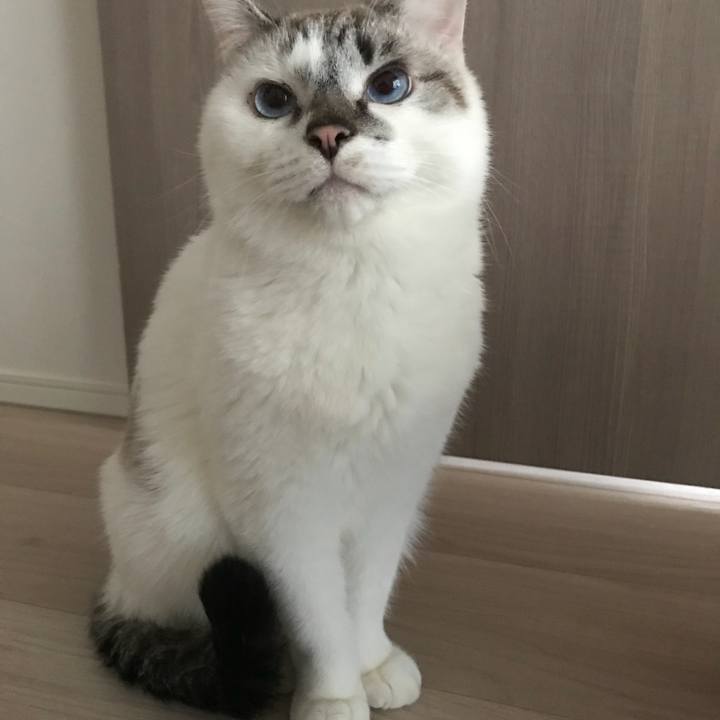 72931f19 af97 4c2b 9aec 505e1e24d360 1513636755308