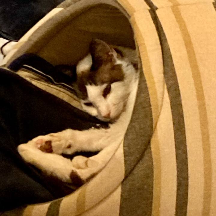 7293412b 393d 411a b207 705bd2cec27f 1677665411136