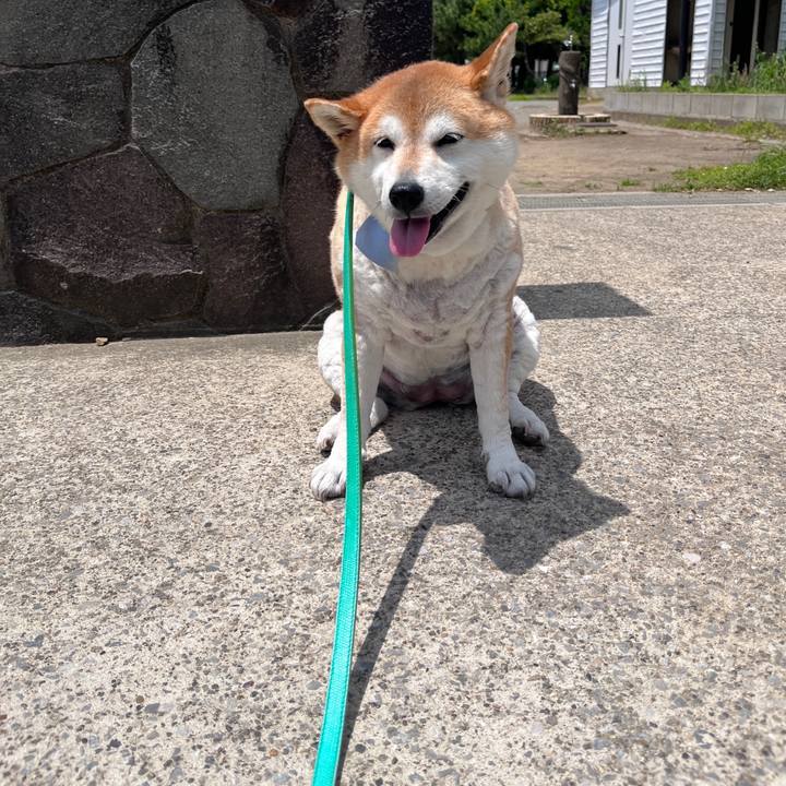 72934bdb 1e08 4705 bccc 6256ac4204bf 1718158394264