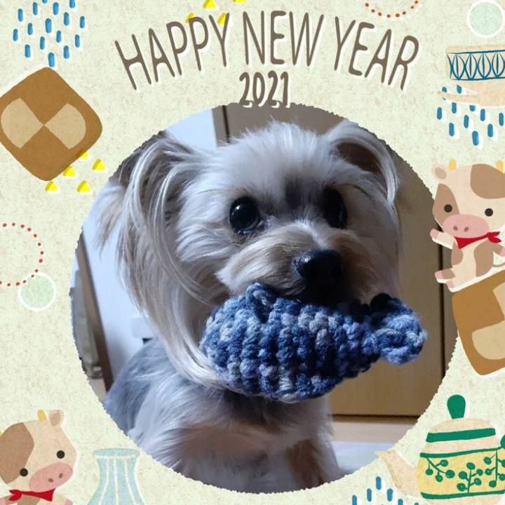 729354f0 ddca 4731 a43b f11fa13f0094 1609452337898