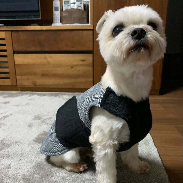 7293791b 9e97 46f3 8061 55980a8b2837 1603893662169