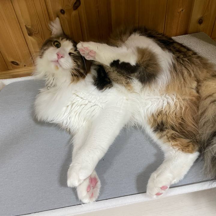 7293cbc9 869a 4d2f bbd4 19bd3b8ec46d 1647337944095