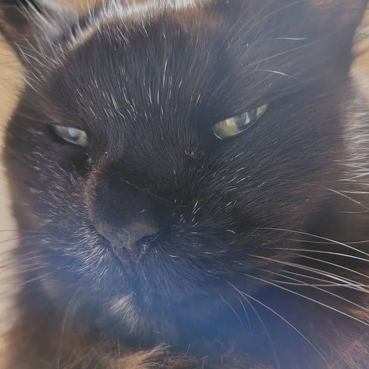 7293e855 ae57 46de 892e b966a5d061df 1739017539817